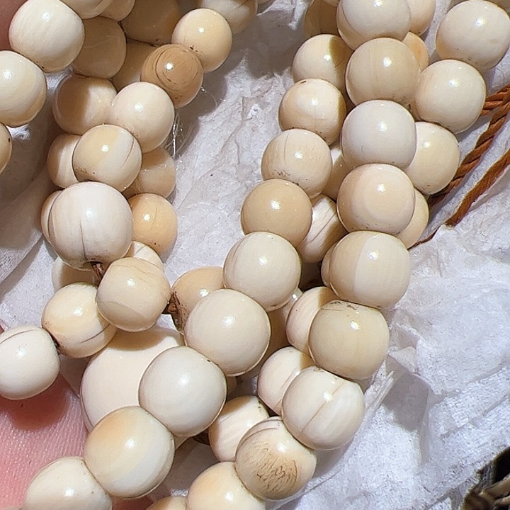 香榧木在这里的日子