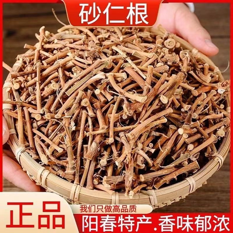 野生 春砂仁根正宗春砂仁干根 煲汤煮水天然自晒砂仁根100克500克