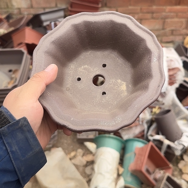 在这里我们都有很多话需要对他倾诉我真的