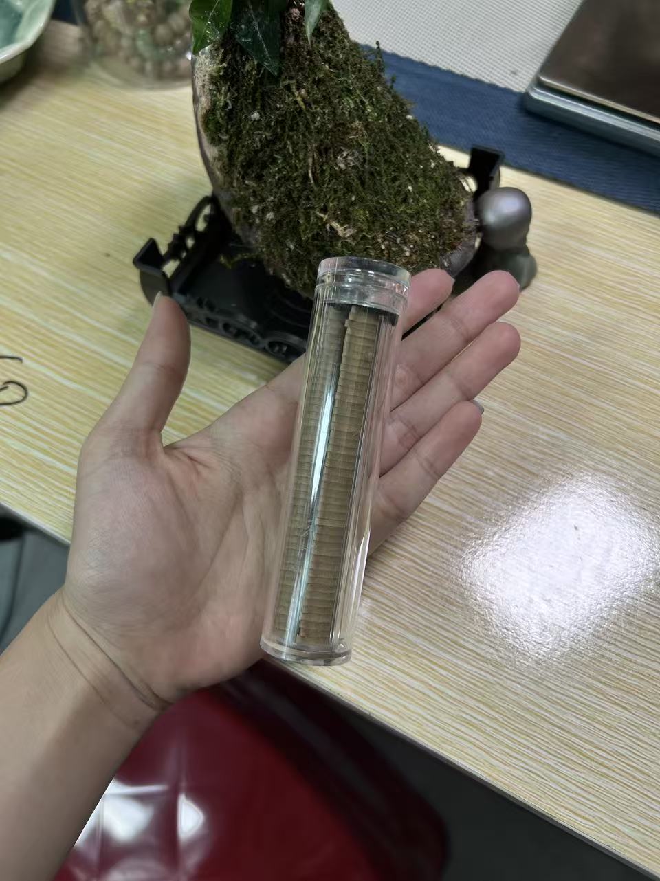 海南虫漏无粘粉小祥云1管