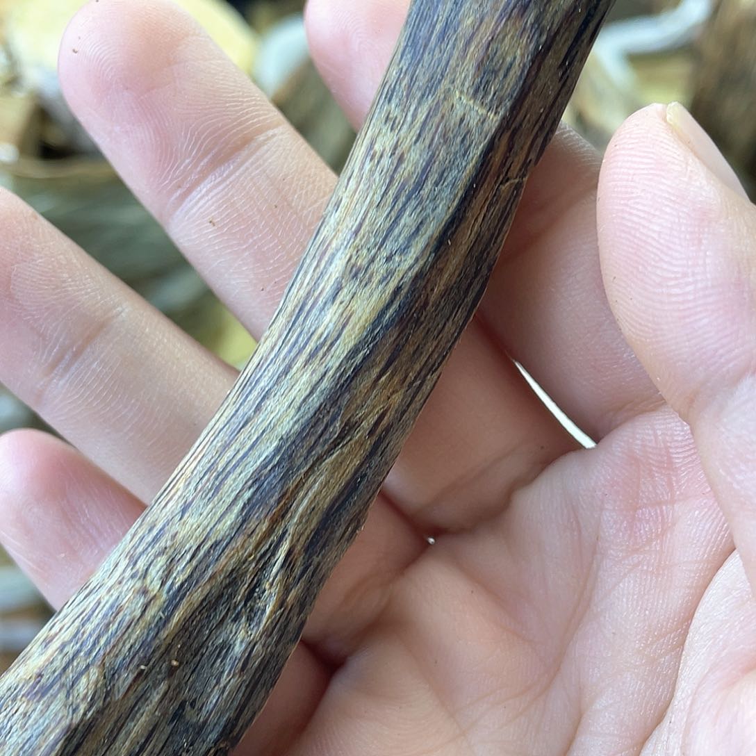 木绿奇楠原材料虫漏23克