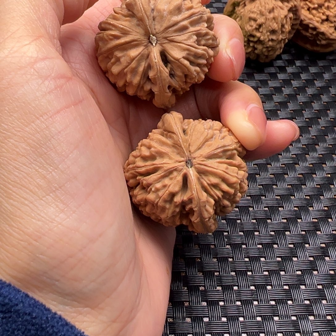 不***醉文玩核桃吊坠蚂蚁王