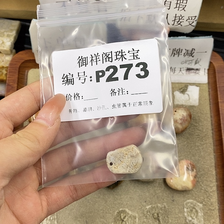 硅化珊瑚（珊瑚玉）未镶嵌颈饰白****猫