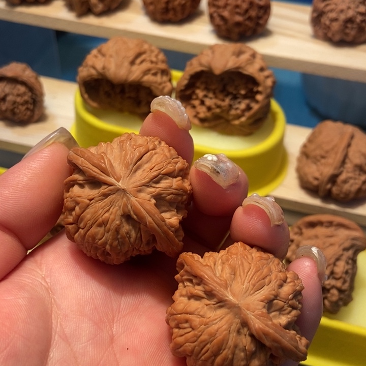 官方网站发布消息显示