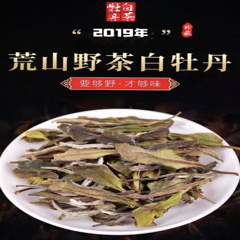 2019年福鼎白茶生态园花茶1号白牡丹麦香水甜毫香蜜韵回甘好茶