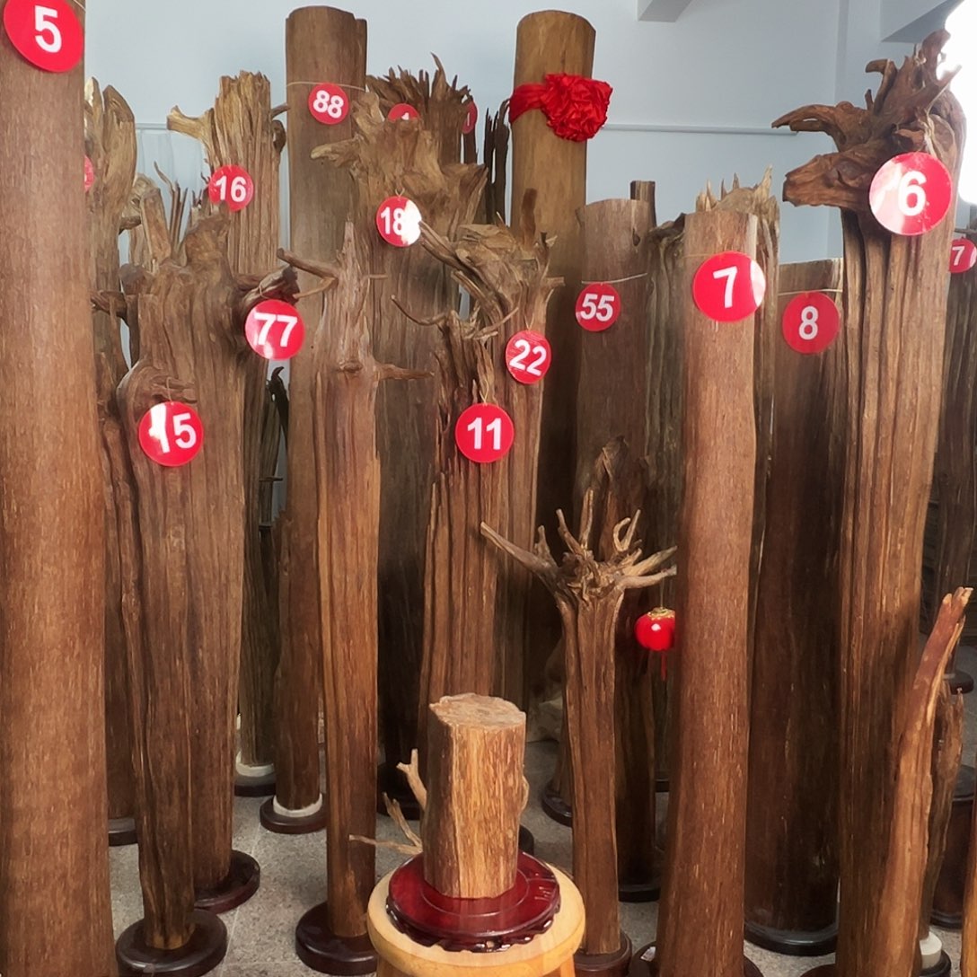 沉香沉香碎屑沉香原料H