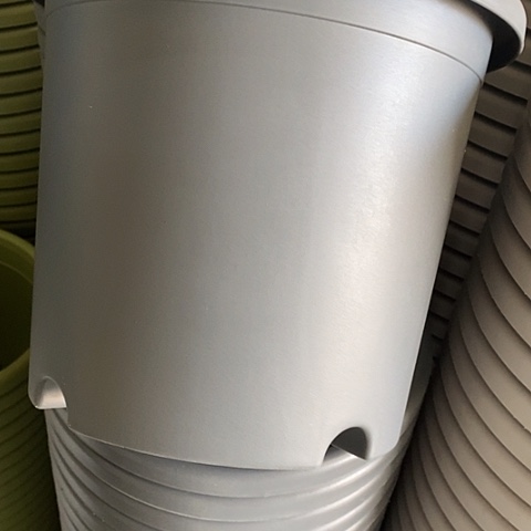 树脂四季4号灰黑无托10个