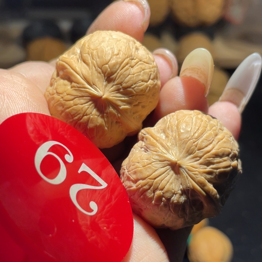 水晶蛇皮球29尺寸核桃