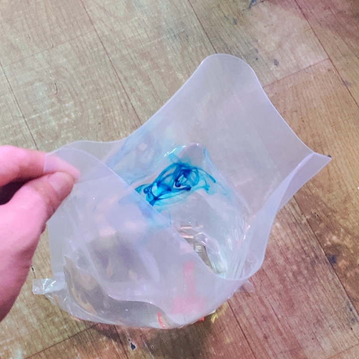 海水迷你鹦鹉淡水热带鱼