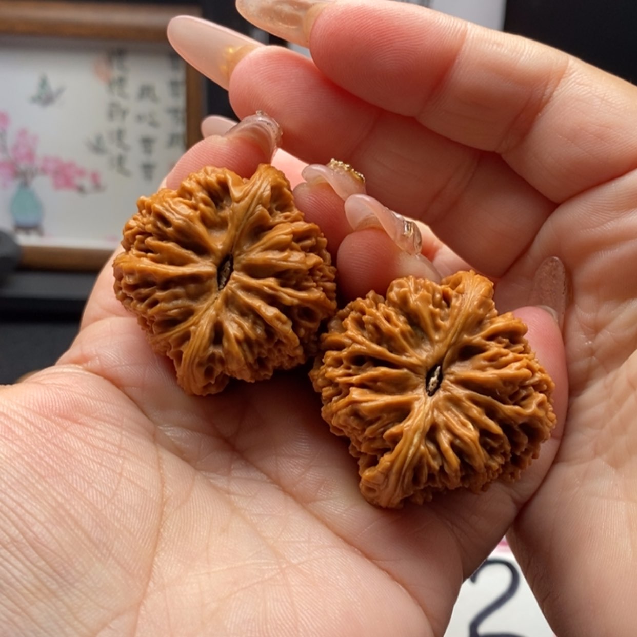 【闪购商品】从**白南疆石原树三角凹底拉丝6号