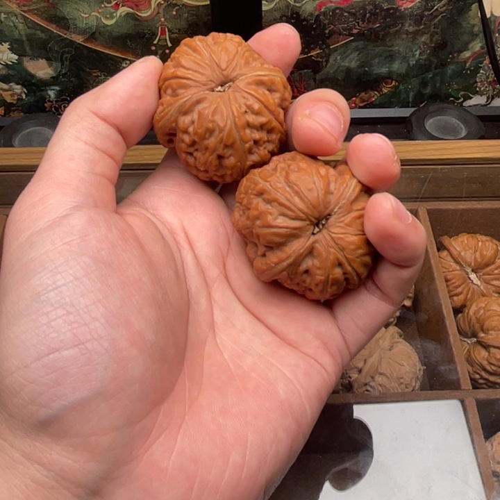 温***阳核桃元宝全品无休