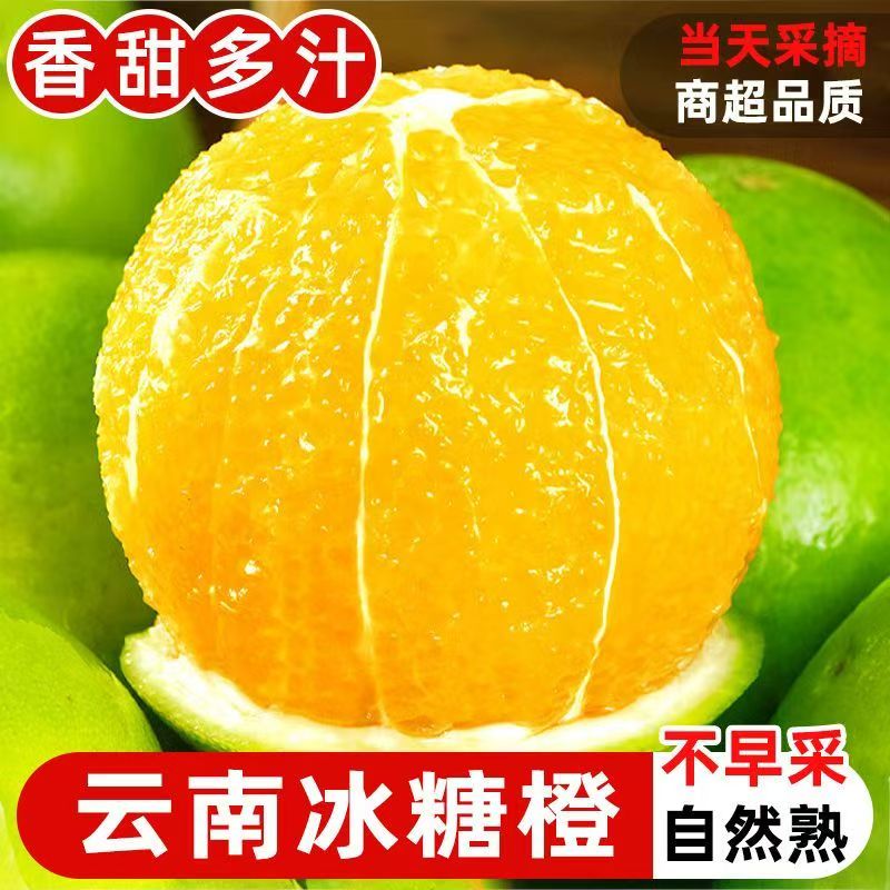 云南哀牢山青皮冰糖橙酸甜多汁Y