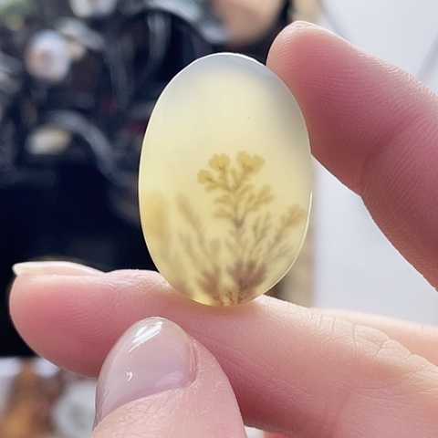 玛瑙/玉髓珠宝奇石未镶嵌