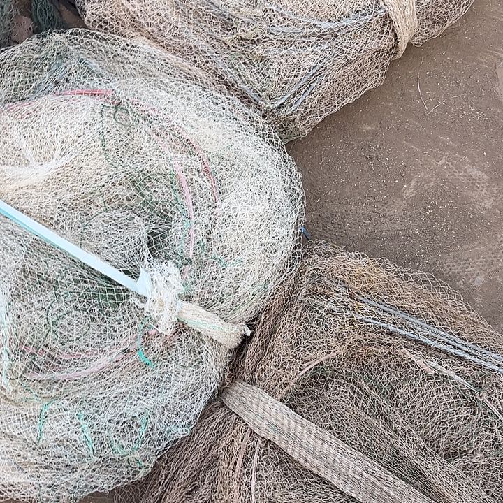 执****4条大框架鱼笼111座11