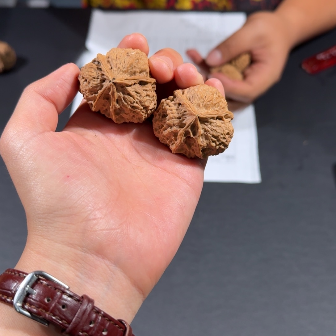 文玩核桃把件69号龙首四棱