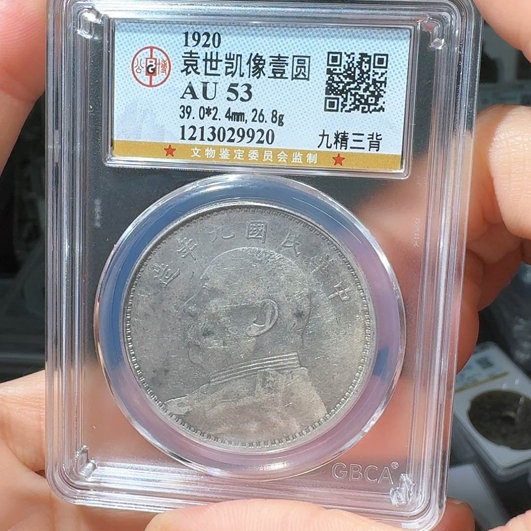 银明****4袁大头一个小师妹432