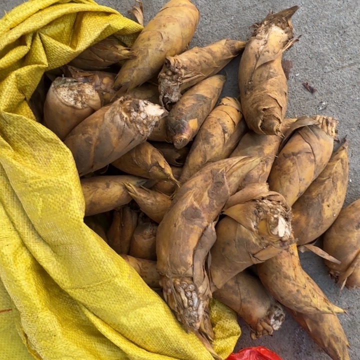 中国大陆3斤包邮，5两左右