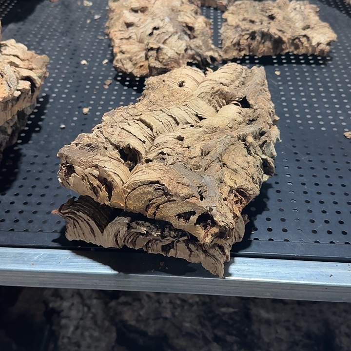 居***远无花朵一物一拍一物一发