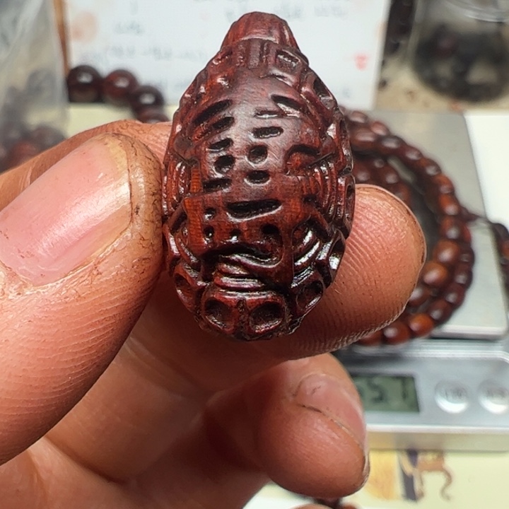 藤类海南红降乌龟