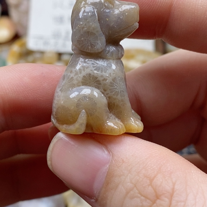 硅化珊瑚（珊瑚玉）颈饰未镶嵌