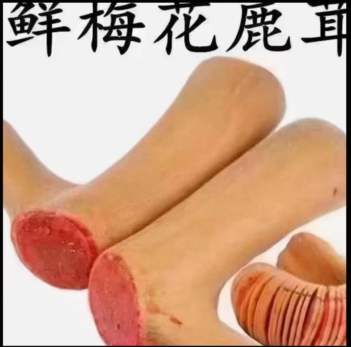 东北头茬鲜鹿茸可泡酒煲汤以直播间实物为准[加浓装]