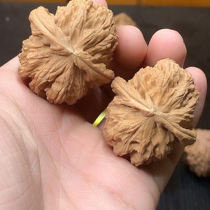 文玩核桃吊坠39 43 白狮子