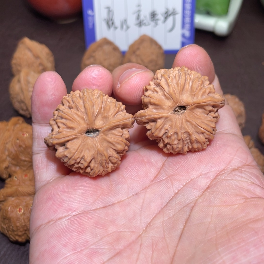 文玩核桃蛇王一抹红35