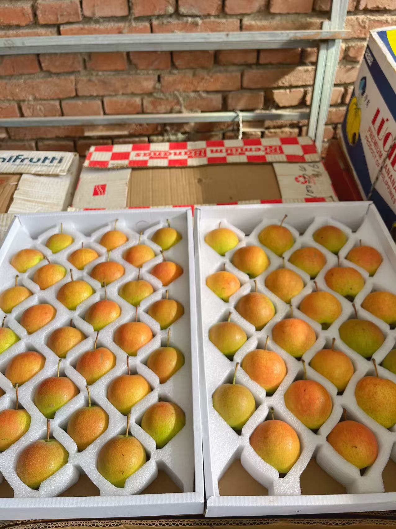 红南果梨  色泽鲜艳  多汁 应季水果