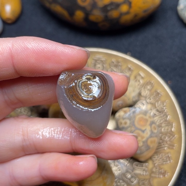 石材九眼页岩钱币石原石34