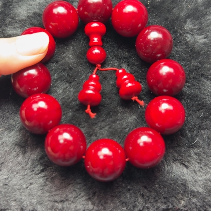 血龙木（贝壳杉）血龙木2.0