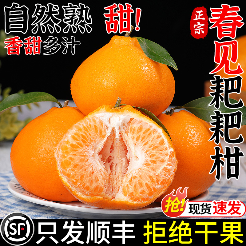 【顺丰送上门】正宗春见耙耙柑5斤新鲜水果当季四丑粑粑八怪橘子四川省