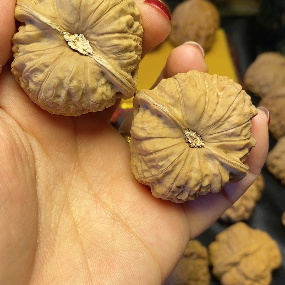 南瓜42111111111111