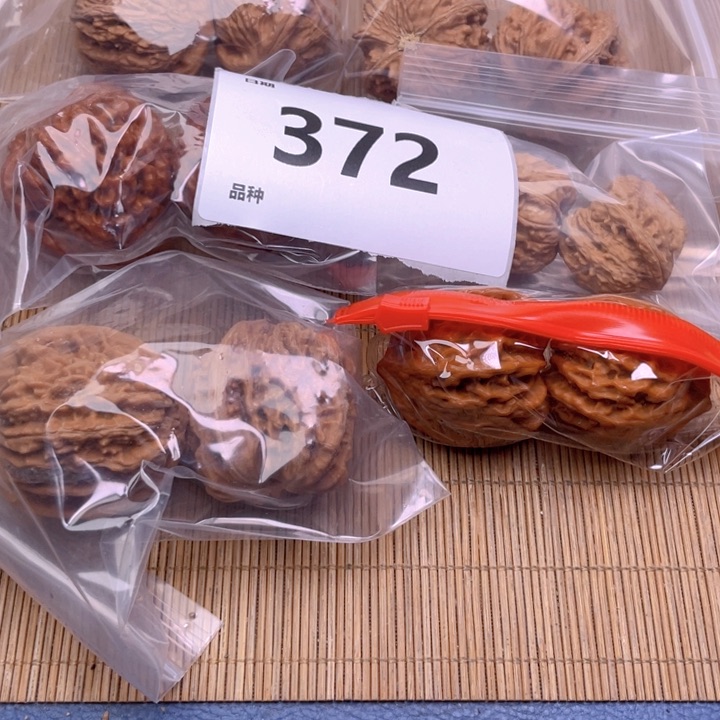 文玩核桃把件372号6对