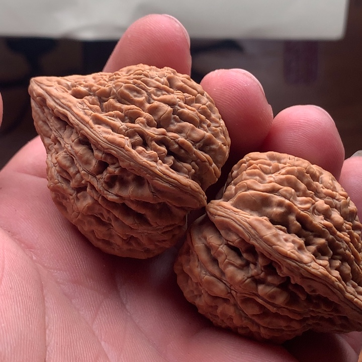 木***泽吊坠桃核山地果坐佛尺寸39