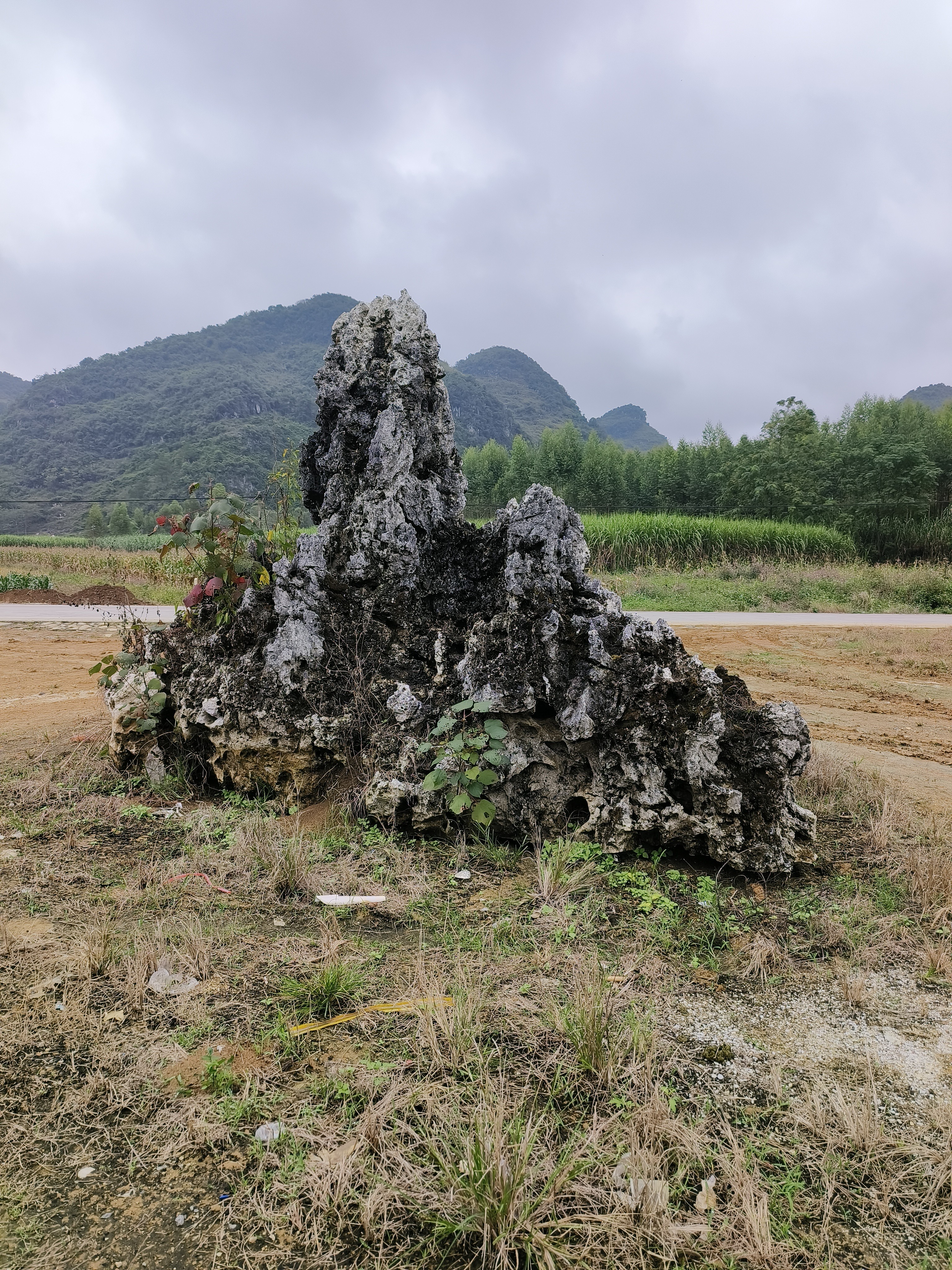 广西草平石，风景石盆景石独特景观装饰佳品