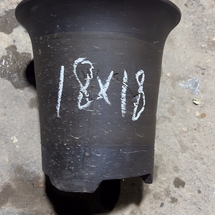 紫砂工艺厂……紫砂工艺厂……