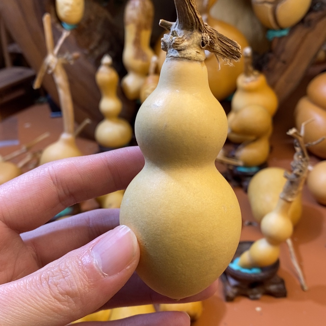 *****教练教练咯哦哦哦咯