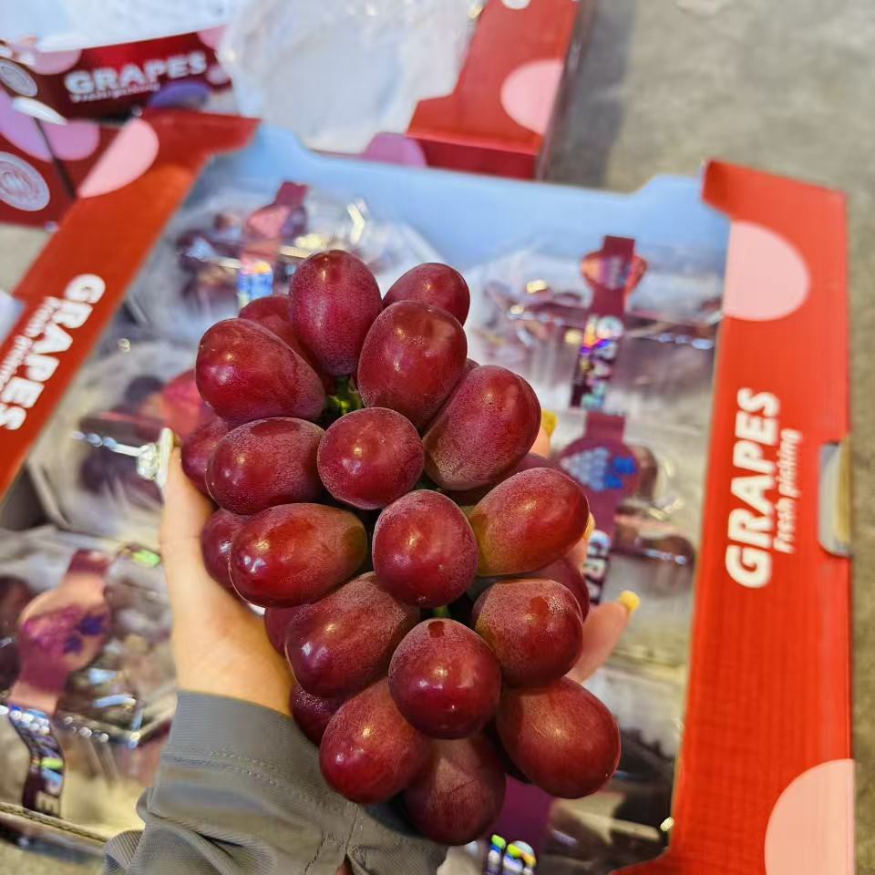 罗拉玫瑰葡萄/1串