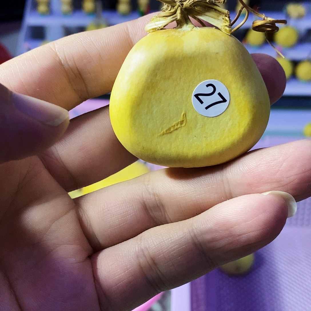 27 全场满50包邮，看好下单，默认微瑕，不退不换