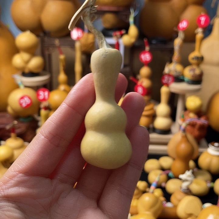 十***铺葫芦岛连山区……哈尔滨一天