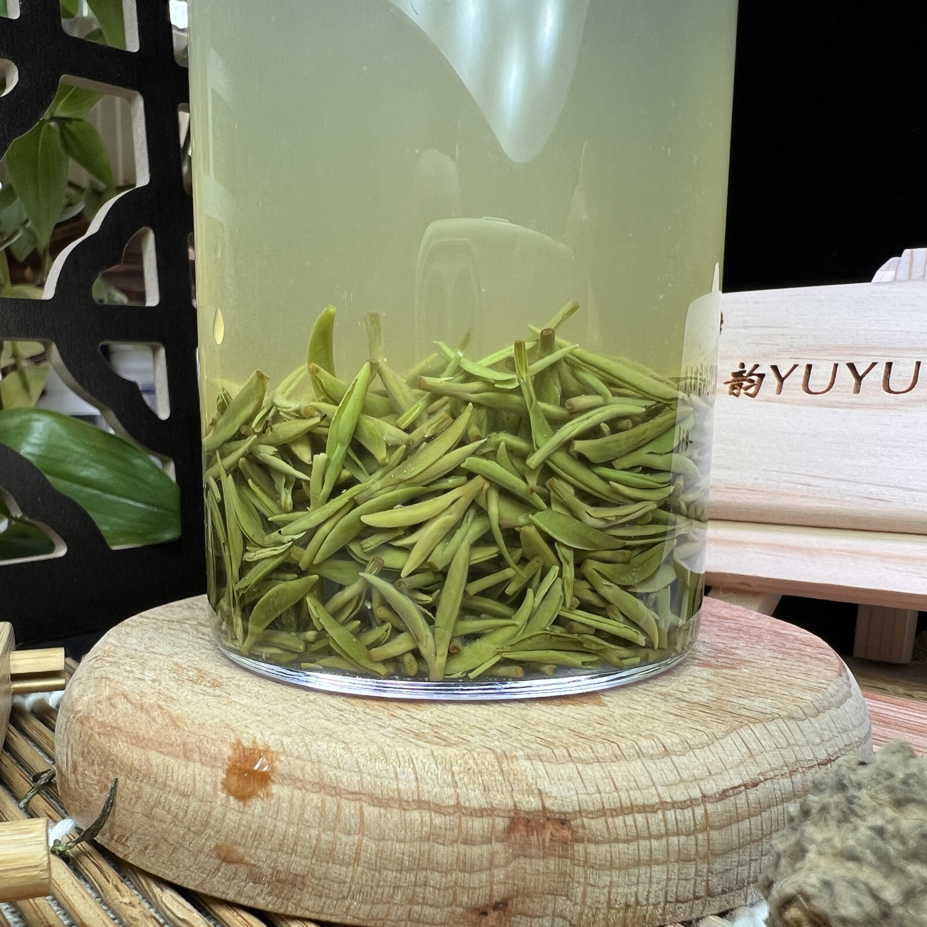 豫韵2025高山特级信阳毛尖明前茶精品小芽嫩芽茶叶花香味春茶