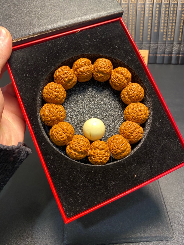 新品超头粗筋双龙梅花:14号