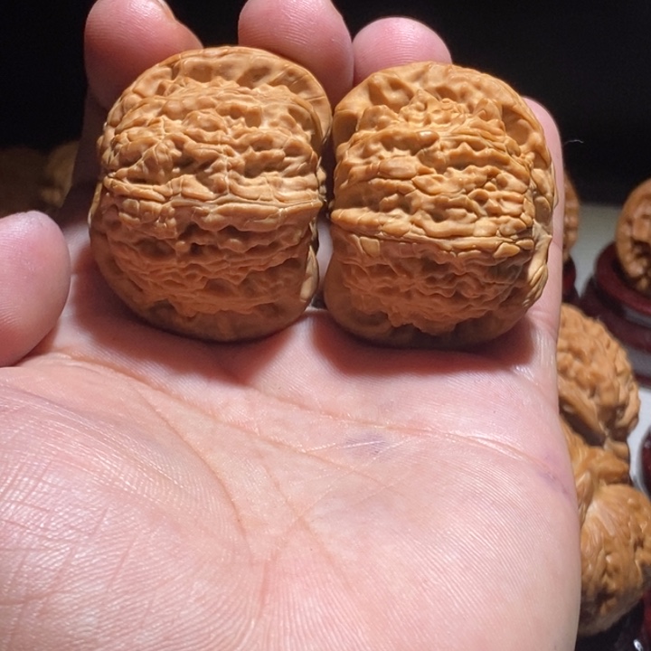 文玩核桃把件44白狮子