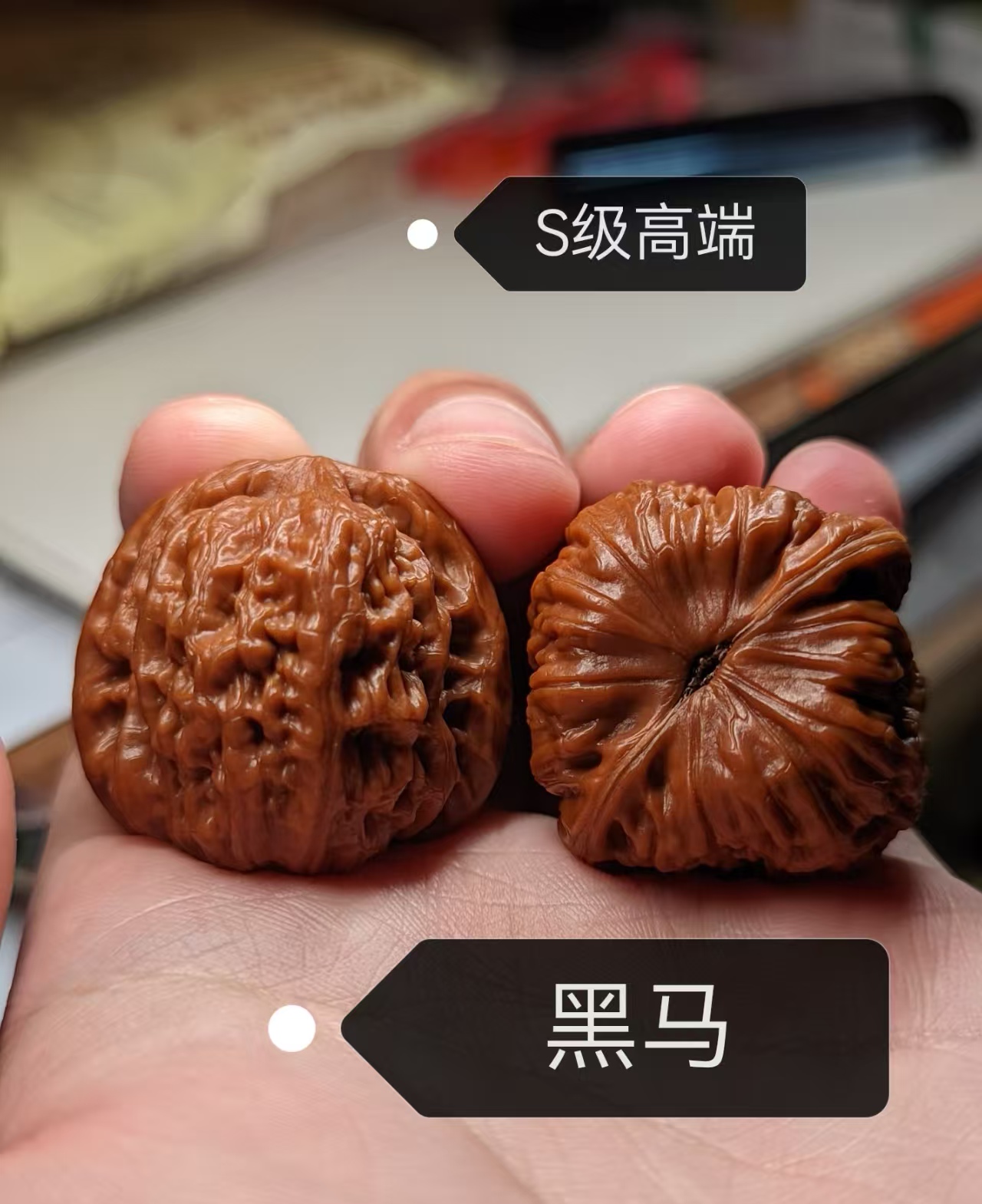 【珍核斋--锦囊】高端两棱链接文玩核桃