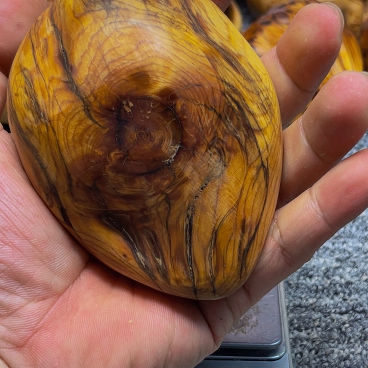 柏木（崖柏）崖柏11