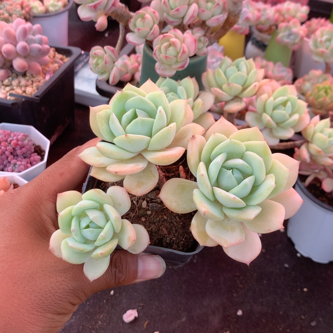 我们就能成为好老师