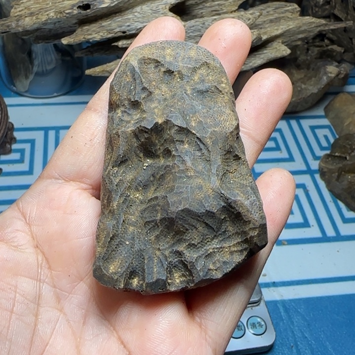 香粉母树紫奇包头20克