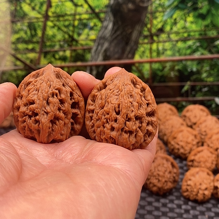 池***物文玩核桃吊坠百年老树堂虎核桃