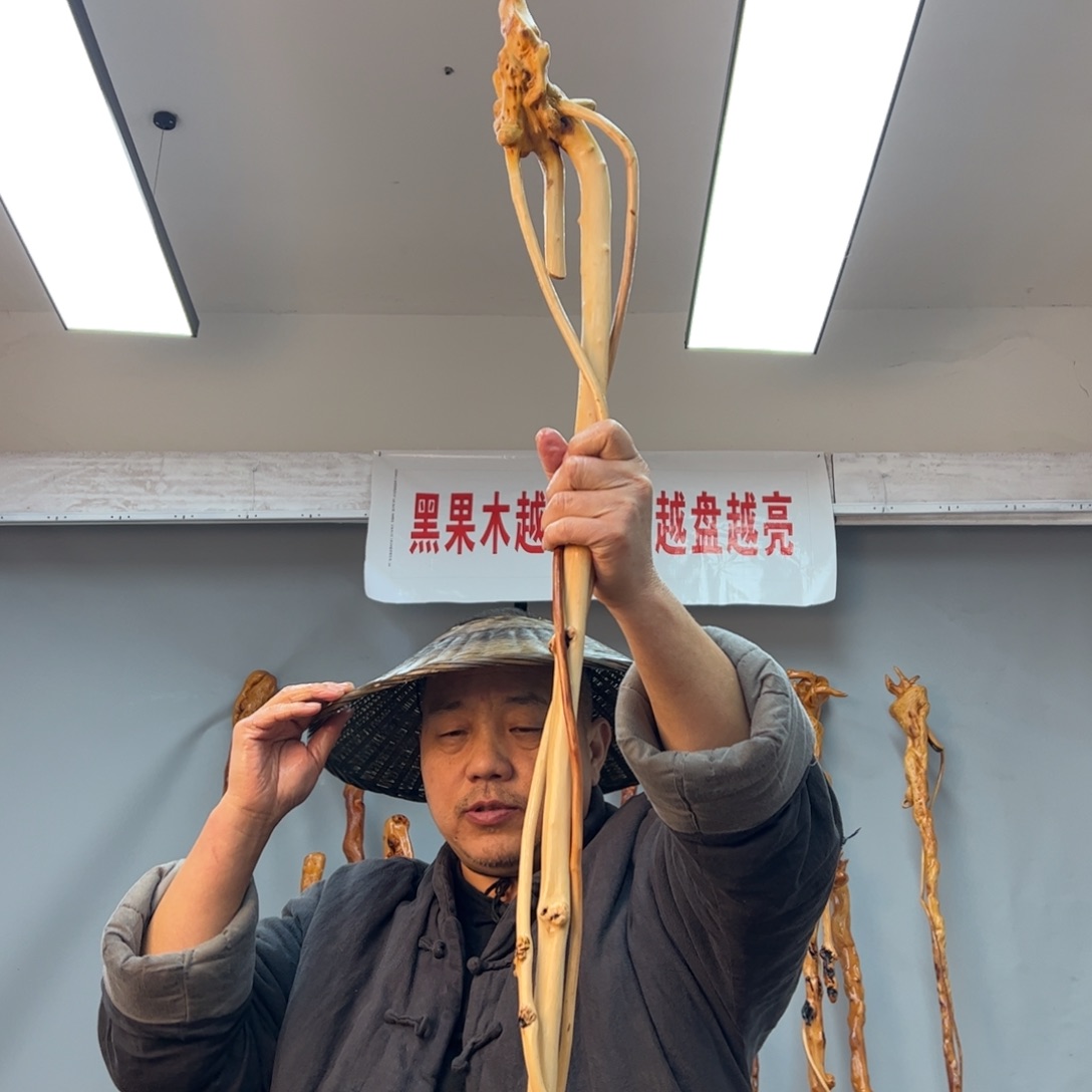 黑果木其他黑果木464