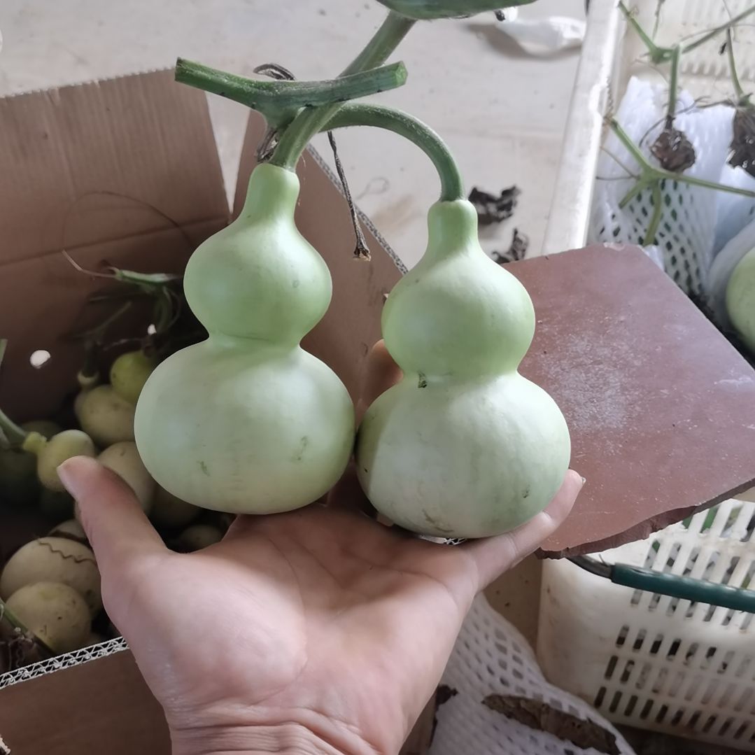 A***铺木葫芦摆件家庭摆件